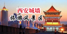 美女日逼扣逼网站中国陕西-西安城墙旅游风景区